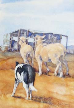 Bringing-in-the-Lambs