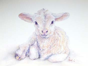 Spring-Lamb