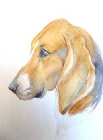 Le-Chien