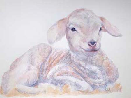 The-New-Lamb